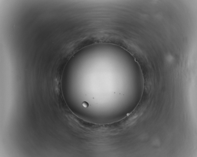 X0000114201010200910091248