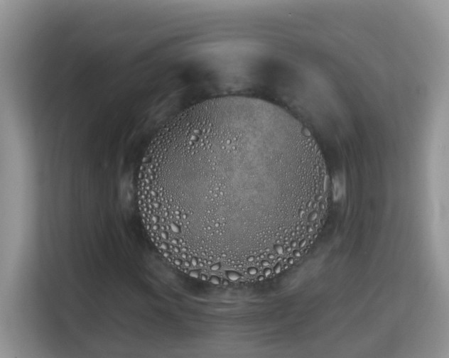X0000114201011200910091248
