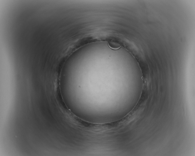 X0000114201012200910091248