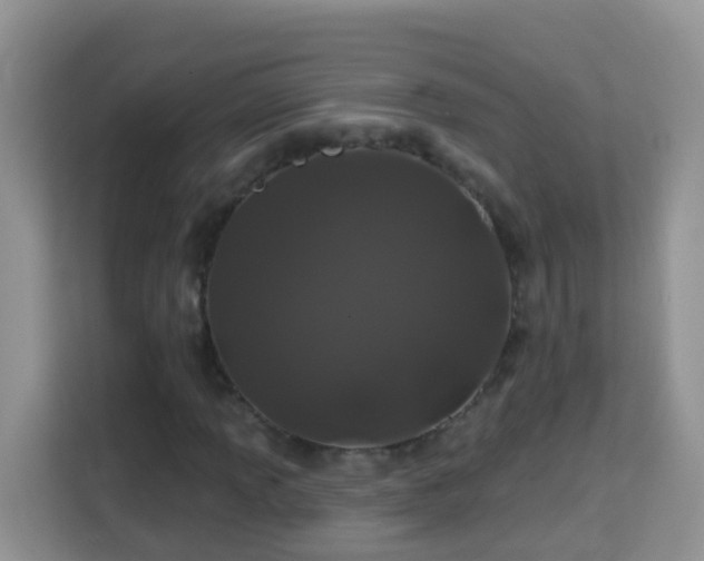 X0000114201013200910091248