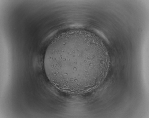 X0000114201015200910091248