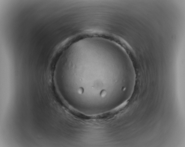 X0000114201016200910091248