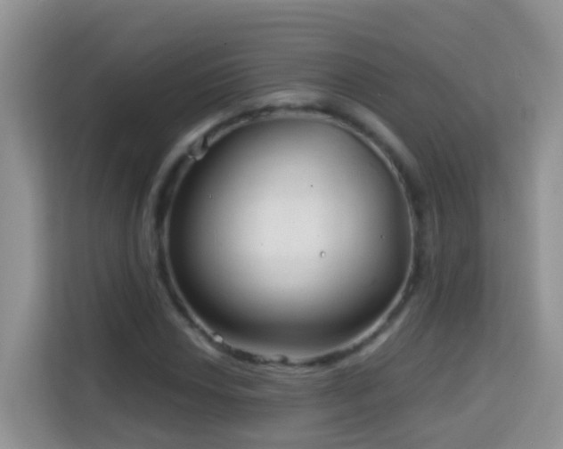 X0000114201018200910091248