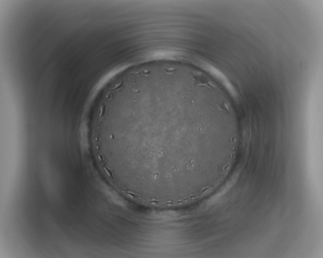 X0000114201019200910091248