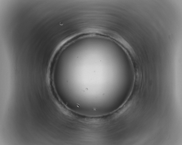 X0000114201020200910091248