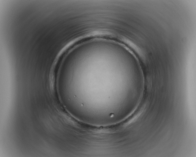 X0000114201021200910091248