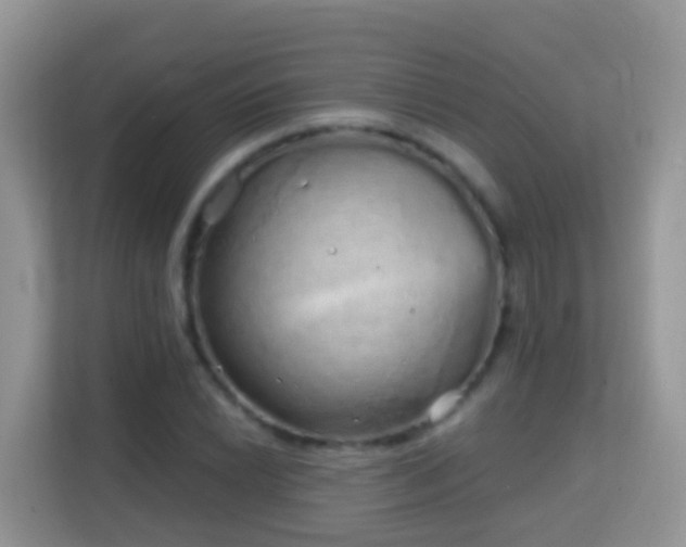 X0000114201022200910091248