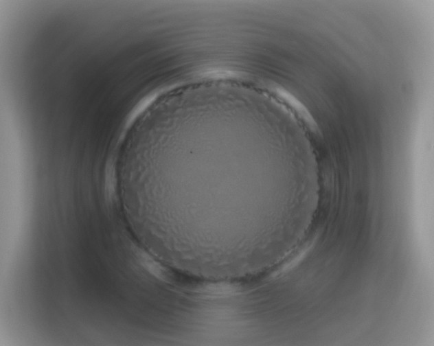 X0000114201023200910091248