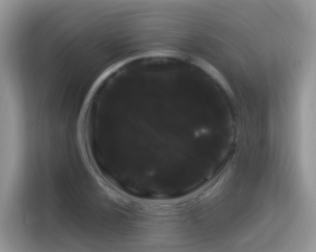X0000114201024200910091248