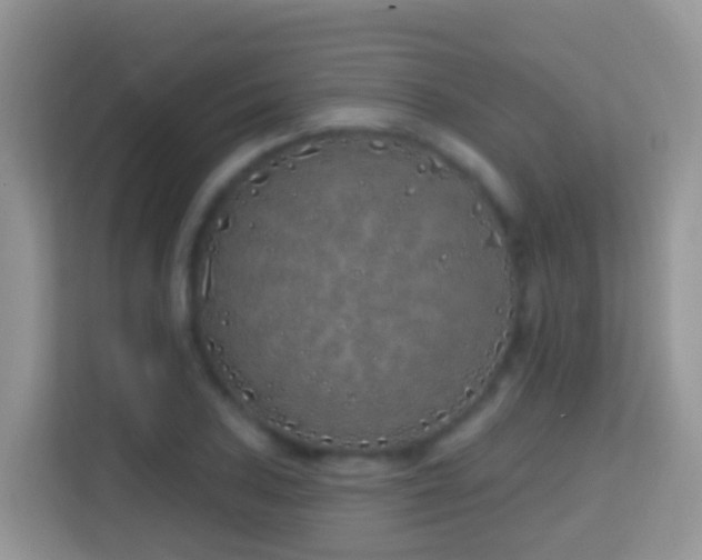 X0000114201027200910091248