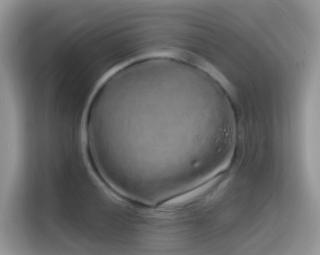 X0000114201028200910091248