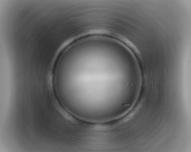 X0000114201029200910091248