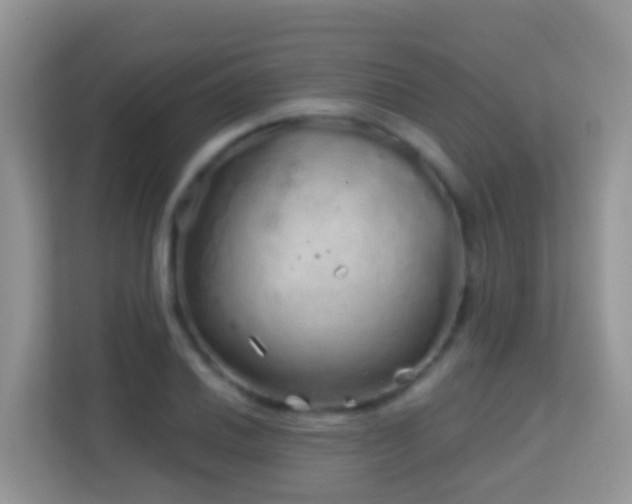 X0000114201030200910091248
