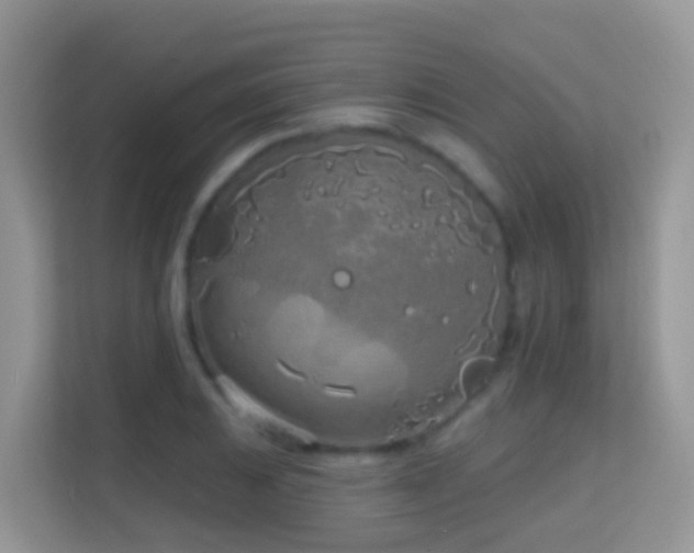 X0000114201031200910091248