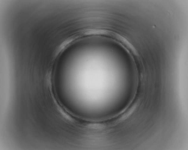 X0000114201033200910091248