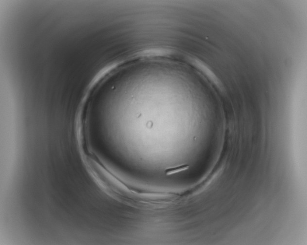 X0000114201034200910091248