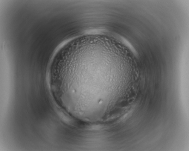 X0000114201035200910091248
