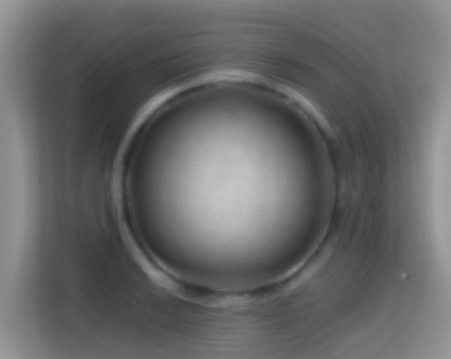 X0000114201038200910091248