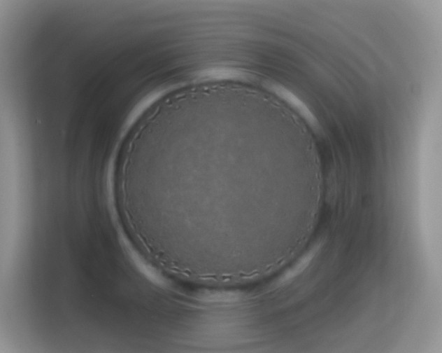 X0000114201039200910091248