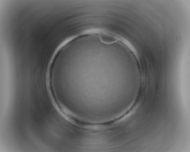 X0000114201045200910091248