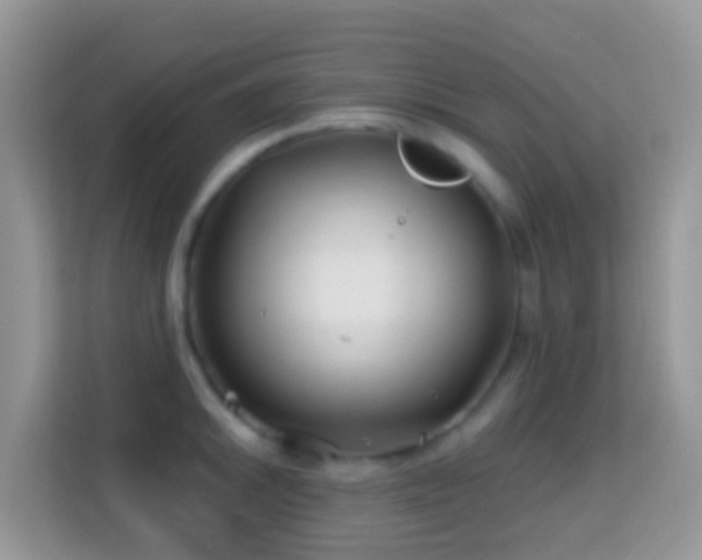 X0000114201046200910091248