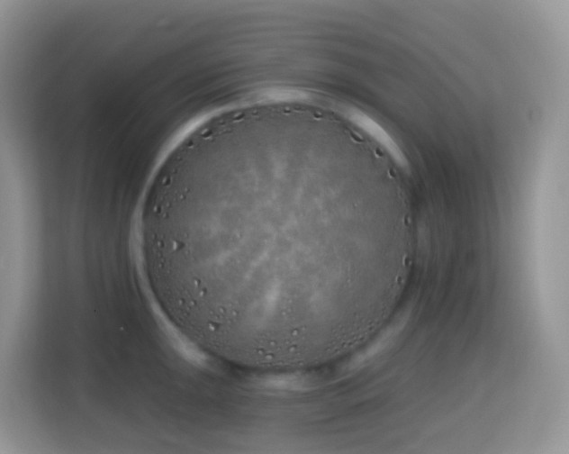 X0000114201047200910091248