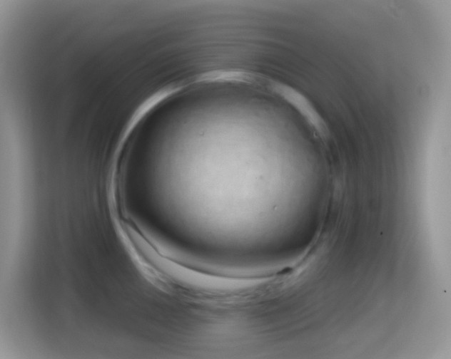 X0000114201050200910091248