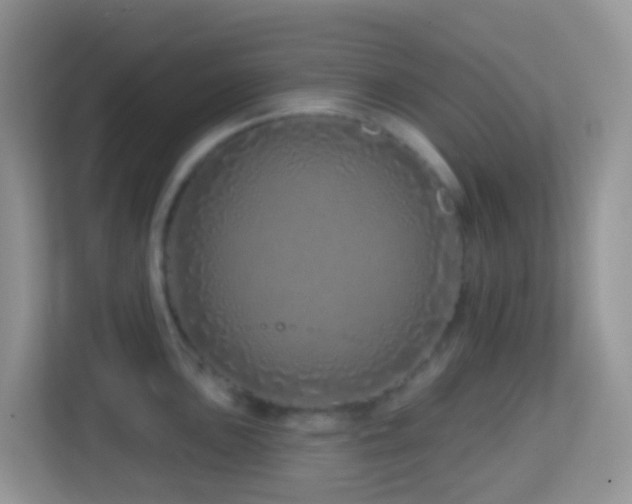 X0000114201051200910091248