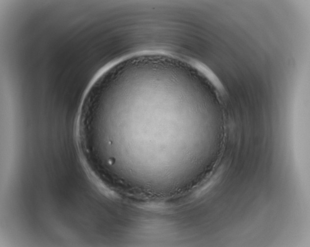 X0000114201052200910091248