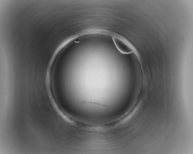 X0000114201053200910091248