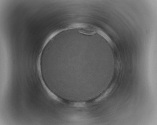 X0000114201055200910091249