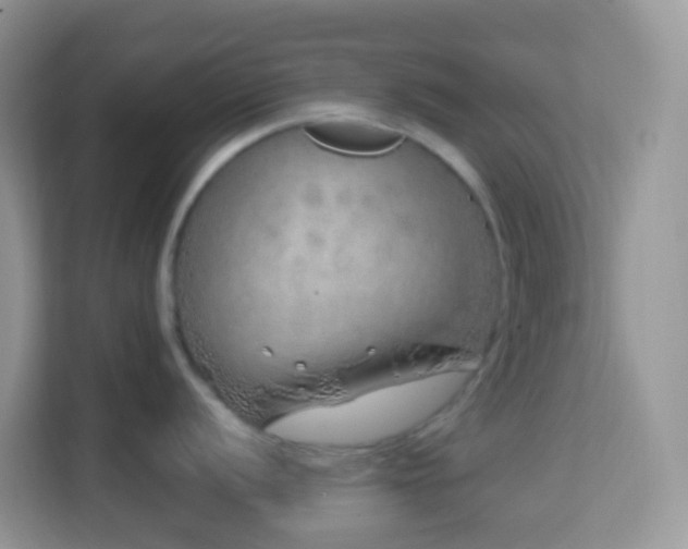 X0000114201056200910091249