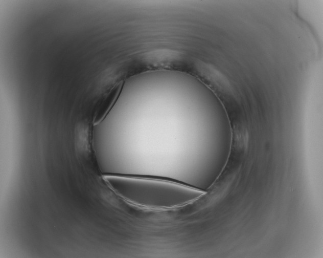 X0000114201060200910091248