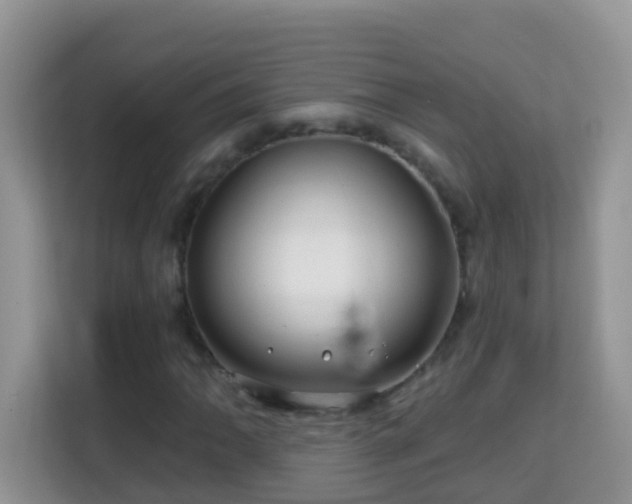 X0000114201062200910091248