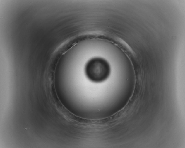 X0000114201064200910091248