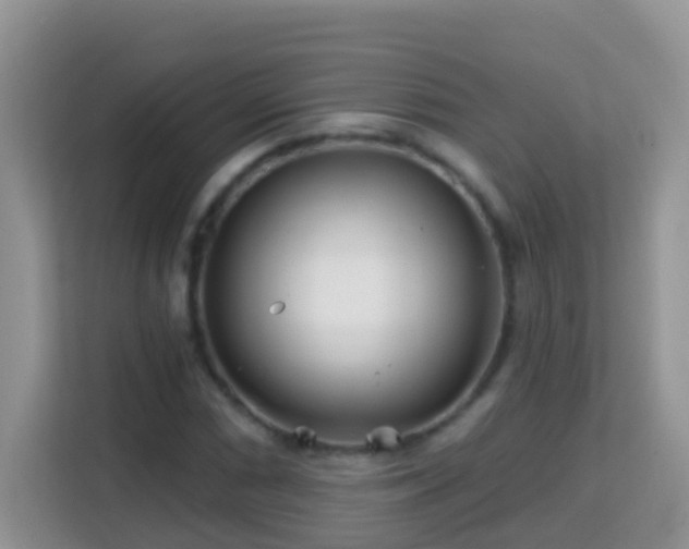 X0000114201066200910091248
