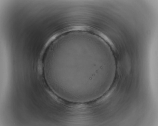 X0000114201067200910091248