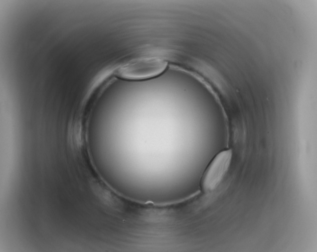 X0000114201069200910091248