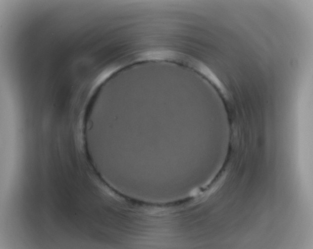 X0000114201071200910091248