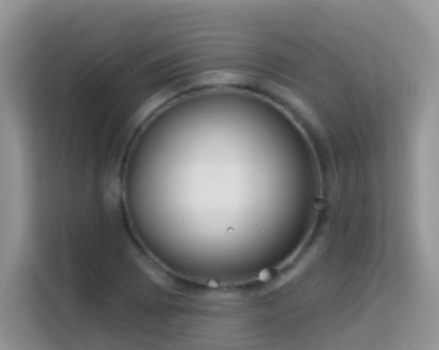 X0000114201073200910091248