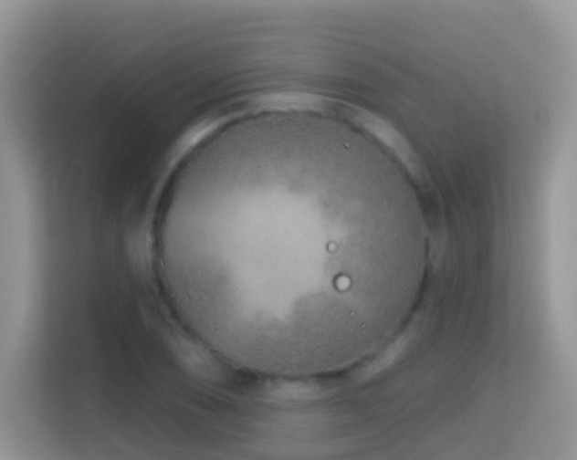 X0000114201074200910091248