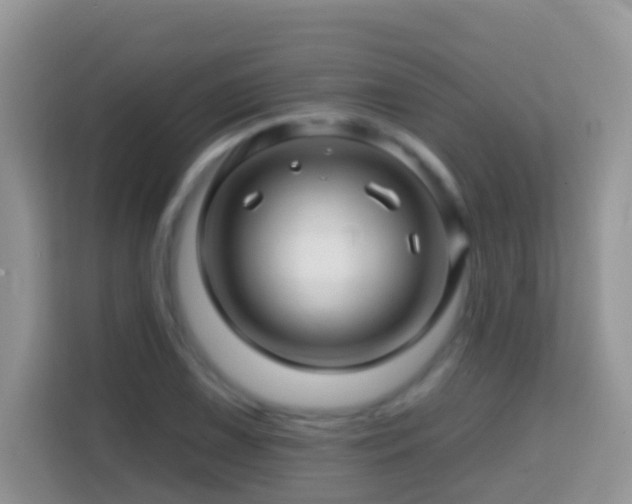 X0000114201075200910091248