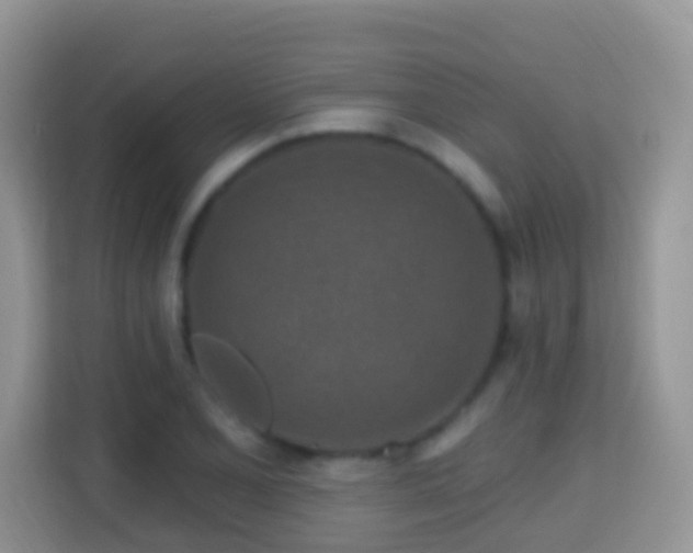 X0000114201077200910091248