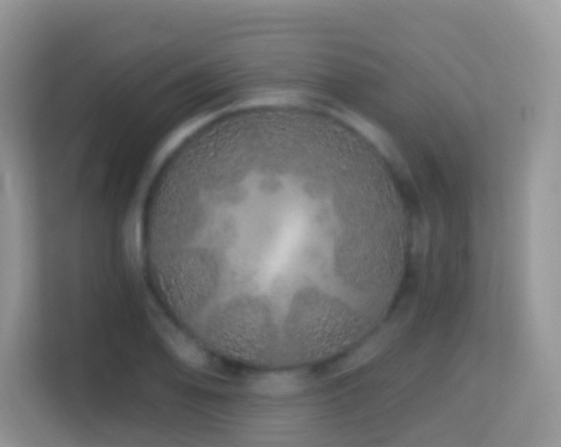 X0000114201078200910091248