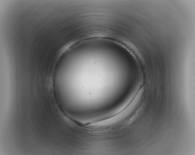 X0000114201081200910091248