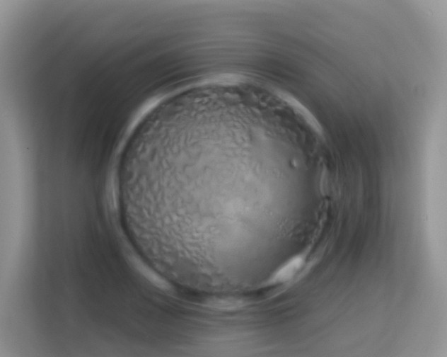 X0000114201083200910091248