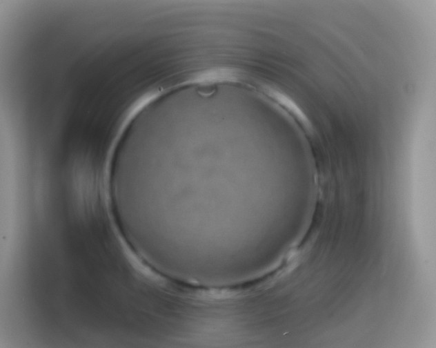 X0000114201087200910091248