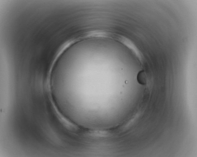 X0000114201090200910091247