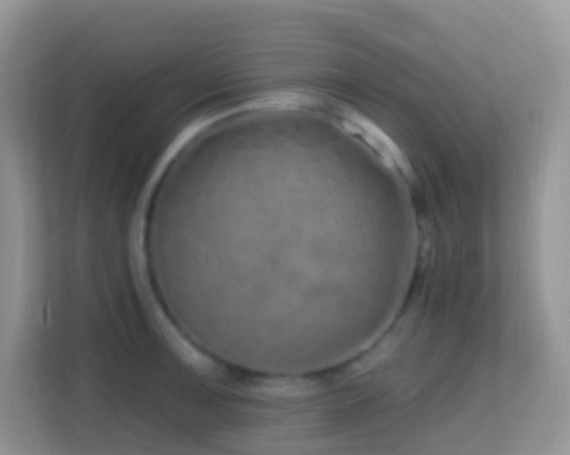 X0000114201091200910091247