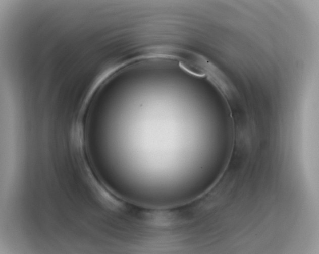 X0000114201092200910091247